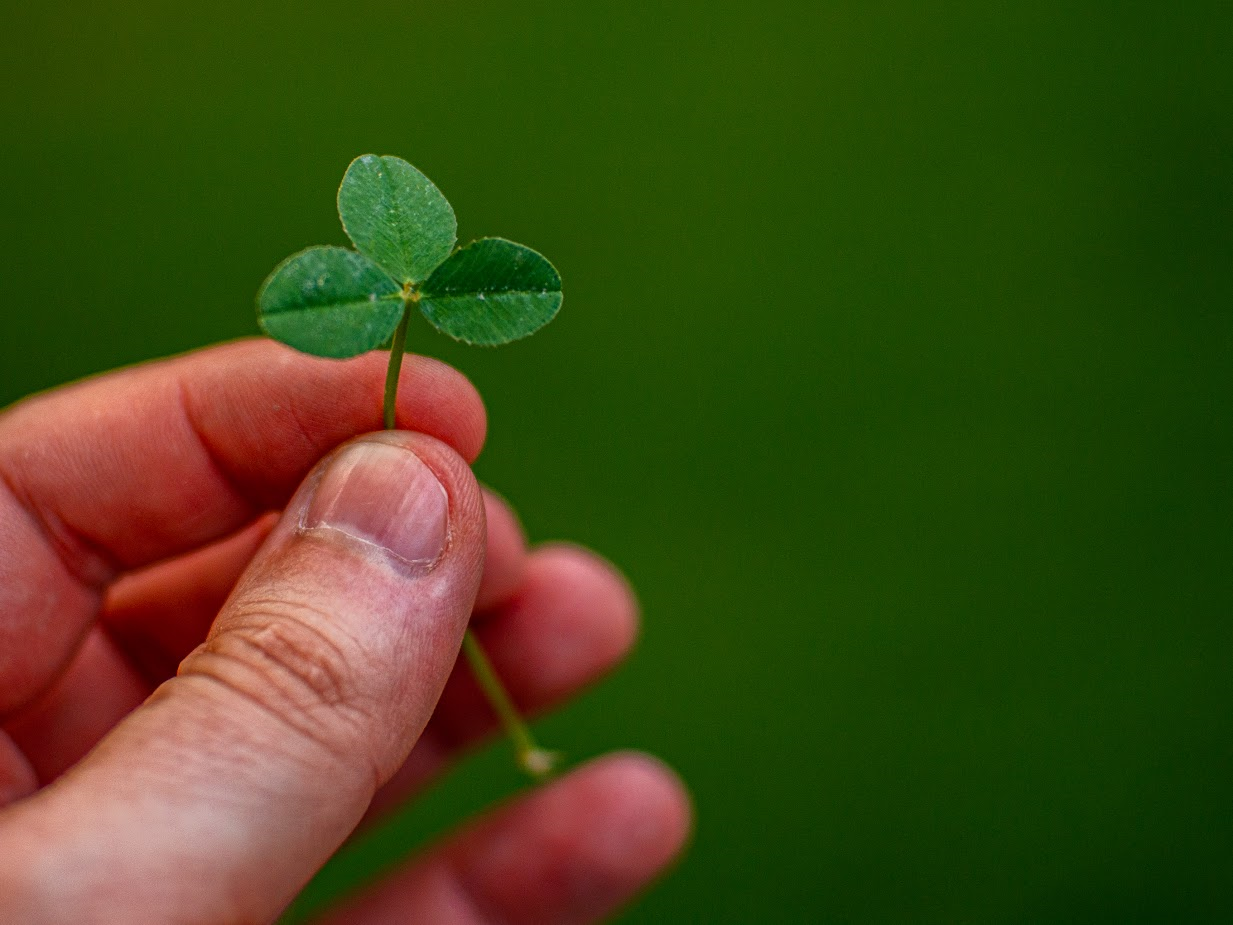 Photo of a hand holding a green leaf